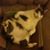 John Shockley's profile image