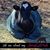 Kimberly Storey Rodgers's profile image
