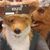 Cat Johnson's profile image