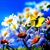 Elaine Burke Matherly's profile image