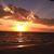 Linda Oswalt's profile image
