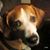 Martha Maynard's profile image