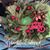 Cheri Dolback Anderson's profile image