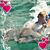 Heather Lamond Walker's profile image