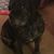 Sherry Speck Heffley's profile image