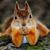 Carol Tedeschi's profile image