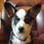 Bridgette Pumpkins Johnston's profile image