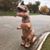 Jamie Viebach's profile image
