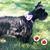 Cheryl Bryan Hayworth's profile image