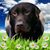 Denise Shields's profile image