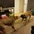 Joe Ladig's profile image