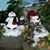 Joanne Conover's profile image