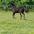 Kristin Rowell's profile image