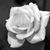 Lynn Allen's profile image