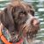D'Arcy Egan's profile image