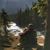 Carol McWhorter McFee's profile image