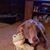Kathy Swan's profile image