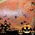 Jocelyn Lower Reidel's profile image