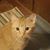 Paula Sutcliffe's profile image