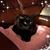 Anna Maria Sampson's profile image
