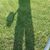 Jason Carey's profile image