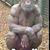 Darin Pease's profile image