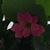 Becky Barr Calder's profile image