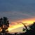 Yesenia Garcia-Licea's profile image