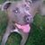 Liz DePaolo's profile image
