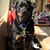 Vickie Slis's profile image