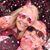 Darlene Skalski Trice's profile image