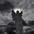 Roy Christopher Rieves's profile image