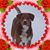 Tonya Smith's profile image