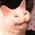 Zach French's profile image