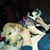 Paul Rew's profile image
