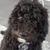 Henriette Gabriels de Munnik's profile image