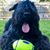 David Thomas Warren Kilborn's profile image
