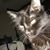 Audrey Coplen's profile image