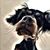 Jennifer Potocnik's profile image