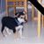 Sibylle Aston's profile image