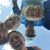 Libby Howard Ecker's profile image