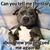 Kay Gallinger's profile image