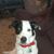 Mary Reeves LiCalzi's profile image