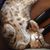 Patti Joyce's profile image