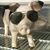 Alex-aka Sir-vere Brayne-d'Hemmidge's profile image