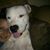Dawn Hjelseth's profile image