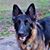 Cindy Knott's profile image