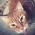 Tabit Ha's profile image