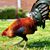 Temo Duran Villerreal's profile image