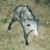 Kevin Boeldt's profile image